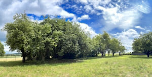 XREAL-prodej-Všechromy-Pozemek-TIT-2